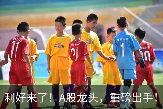 利好来了！A股龙头，重磅出手！