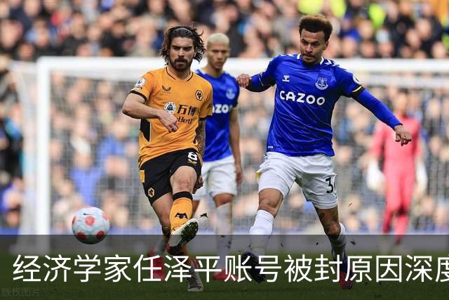 经济学家任泽平账号被封原因深度分析