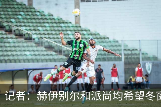 记者：赫伊别尔和派尚均希望冬窗离开马赛