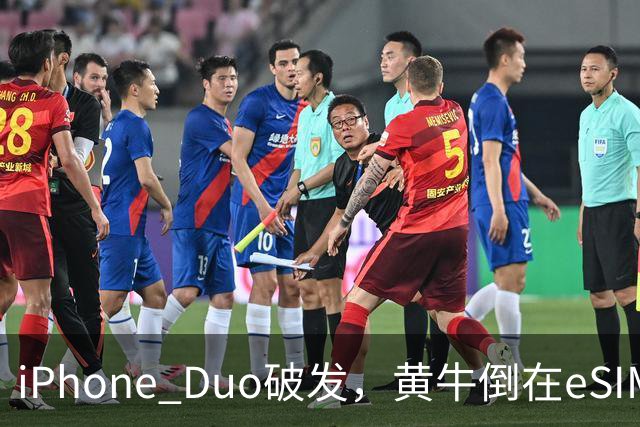 iPhone Duo破发，黄牛倒在eSIM